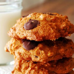 Pumpkin Chocolate Chip Cookies - Recipe photo by msmeanie