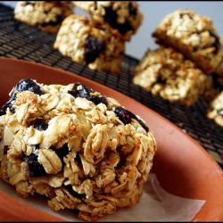 On-the-Go Oatmeal Cups - Recipe photo by runningfoodie