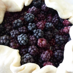 Bramble Pie - Recipe photo by Coby