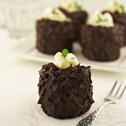 Chocolate Cakes - Recipe photo by sweetcorner