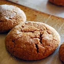 Soft & Chewy Molasses Spice Cookies - Recipe photo by epalermo