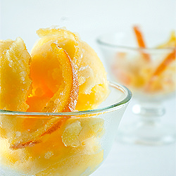 Tangerine and Grapefruit Sorbet - Recipe photo by cblackwell44