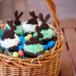 Chocolate Coconut Easter Cupcakes - Recipe photo by bakingbites