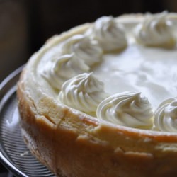 Classic Cheesecake - Recipe photo by kristinannbeck