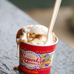 Lappert's Hawaii Ice Cream - Recipe photo by bakingbites