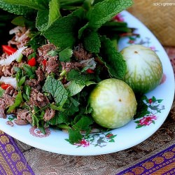 Good Fortune Lao Beef Salad - Recipe photo by SpicyGreenMango