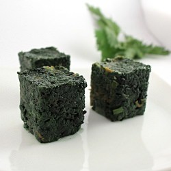 The Attack of the Stinging Nettle - Recipe photo by len