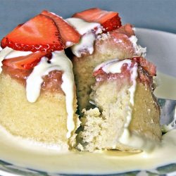 British Pudding - Recipe photo by newfinmysoup