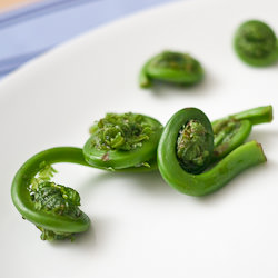Fiddleheads - Recipe photo by jgleeche