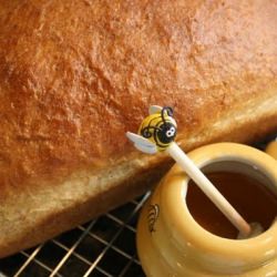 Honey Oat Bread - Recipe photo by JaneAlice