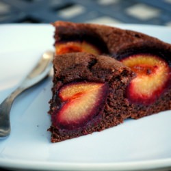 Chocolate Plum Cake - Recipe photo by bakingbites