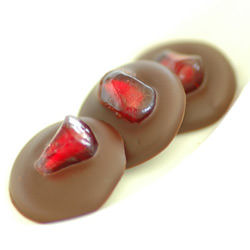 Pomegranate Seeds in Chocolate - Recipe photo by winosandfoodies