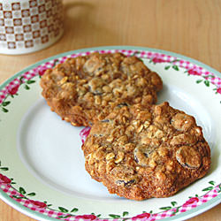 Chocolate Chip Pecan Oatmeal Cookie - Recipe photo by msmeanie