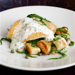 John Dory, Cockles, Samphire - Recipe photo by BritishLarder