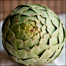 Steamed Artichokes - Recipe photo by karacooks