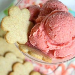 Tart Cherry Frozen Yogurt - Recipe photo by JaneAlice