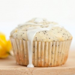 Citrus-y Lemon Poppy Seed Muffins - Recipe photo by dailydosesofsugar