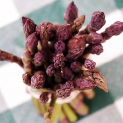 Asparagus - Recipe photo by chiknpastry