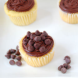 Yellow Vanilla Cupcakes - Recipe photo by msmeanie