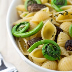 Fiddlehead Morel Mushroom Pasta - Recipe photo by veggiebelly