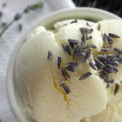 Lavender Ricotta Ice Cream - Recipe photo by oneordinaryday