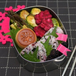 Not Your Kid's Bento - Recipe photo by bentozen