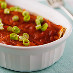 Black Bean-Summer Squash Enchiladas - Recipe photo by goodneighbor