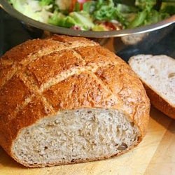 Whole Wheat Sourdough Bread - Recipe photo by JaneAlice