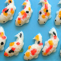 Koi Fish Jelly - Recipe photo by selba