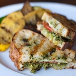 Tomato, Mozzarella, & Pesto Paninis - Recipe photo by pinkparsley