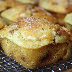 Apricot Cinnamon Muffins - Recipe photo by JaneAlice