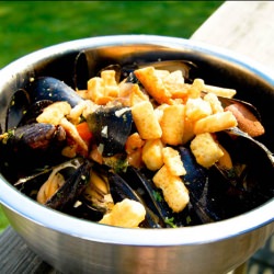 Steamed Mussels - Recipe photo by mtlabor