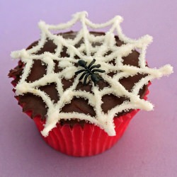 Charlotte's Web Cupcakes - Recipe photo by grinandbakeit