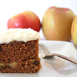 Applesauce Spice Cake - Recipe photo by msmeanie