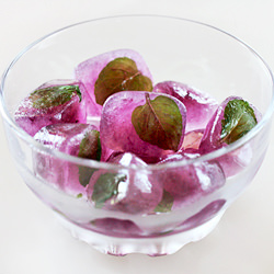 Tea and Coffee Ice Cubes - Recipe photo by zoom yummy