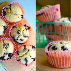Blueberry Muffin - Recipe photo by dollydoesdesserts