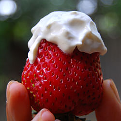 Homemade Creme Fraiche - Recipe photo by msmeanie