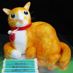Cat Cake - Recipe photo by constantcraving