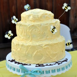 Honey Bee Birthday Cake - Recipe photo by kristinannbeck