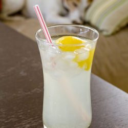 Lemonade by the Glass - Recipe photo by FoodMayhem
