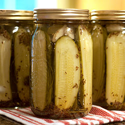 Favorite Kosher Dills - Recipe photo by LanaAnn
