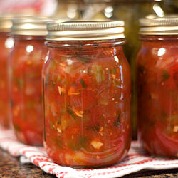 Home Canned Tomato Salsa - Recipe photo by LanaAnn