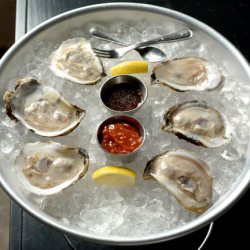 Oysters on the Half Shell - Recipe photo by BillBrady