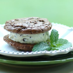 Mint Chocolate Ice Cream Sandwiches - Recipe photo by savoringtimeinthekitchen