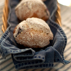 Blueberry Lemon Muffins - Recipe photo by LanaAnn