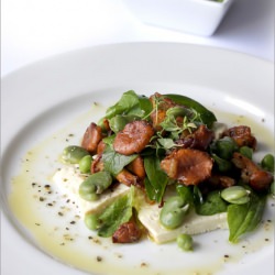 Chanterelles & Fava Bean Salad - Recipe photo by TastyColours
