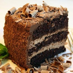 Chocolate Mousse Cake - Recipe photo by JaneAlice