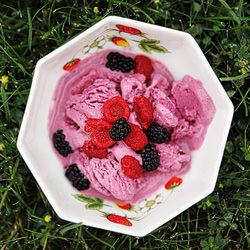 Wild Blackberry Frozen Yogurt - Recipe photo by tresjolie