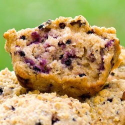 Elderberry Muffins - Recipe photo by NamelyMarly