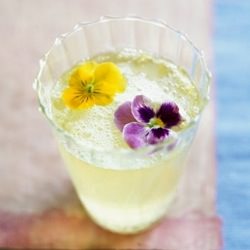 Blooming Fizz - Recipe photo by drinkoftheweek